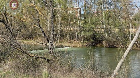 Rescatan a una mujer que se arrojó al río Bernesga en León para rescatar a su perro 