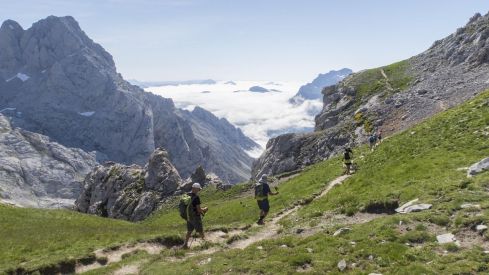 La Junta recibirá 1,47 millones del Gobierno para conservar la biodiversidad en los Picos de Europa en León | Eduardo Margareto / ICAL