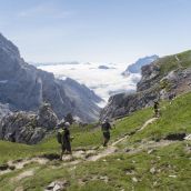 La Junta recibirá 1,47 millones del Gobierno para conservar la biodiversidad en los Picos de Europa en León | Eduardo Margareto / ICAL