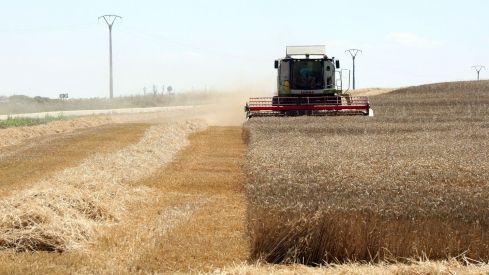 UPA y UGAL-UPA exigen la suspensión inmediata de las cotizaciones de las lonjas tras una rebaja “especulativa” del precio de la cebada