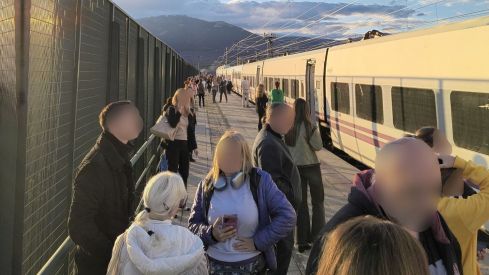 Más de una hora de retraso en el Alvia León-Madrid por incidencias en ambas estaciones | Cedida a InfoLeón