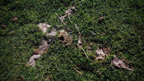 Exhumación en la fosa común de Busdongo (León) | Óscar Rodriguez / ARMH 