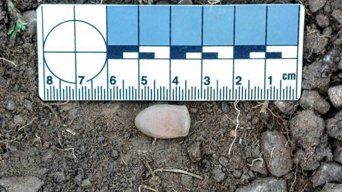 Exhumación en la fosa común de Busdongo (León) | Óscar Rodriguez / ARMH 