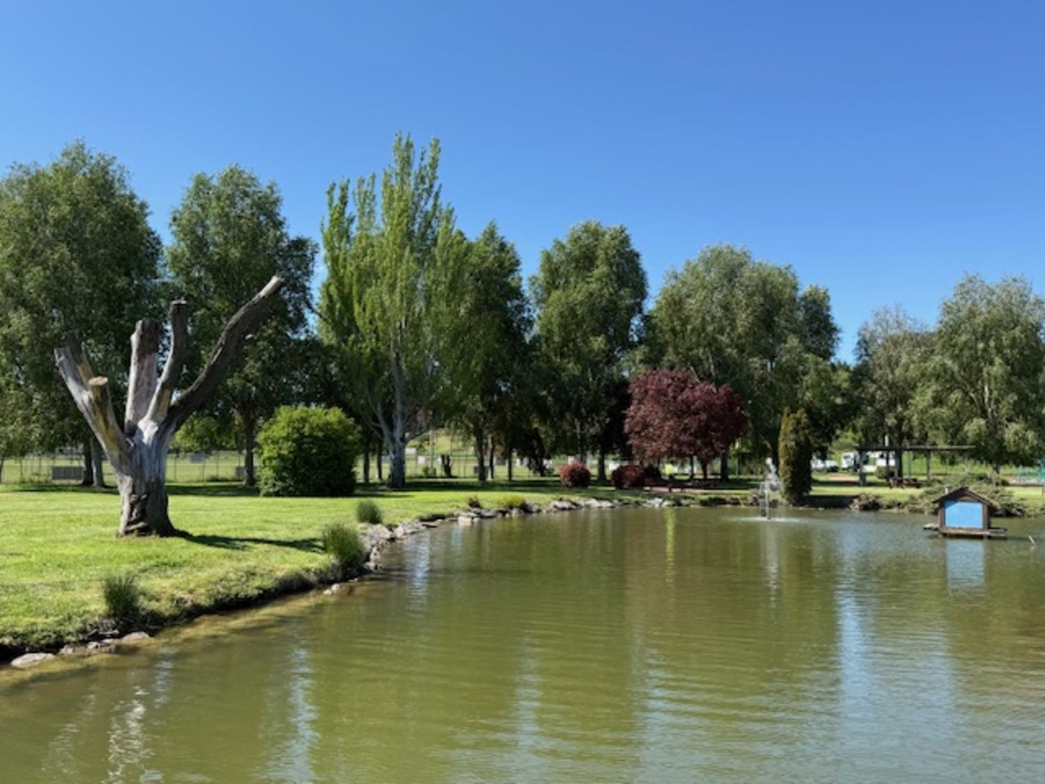 Parque de los Patos de San Andrés del Rabanedo Parque de los Patos de San Andrés del Rabanedo