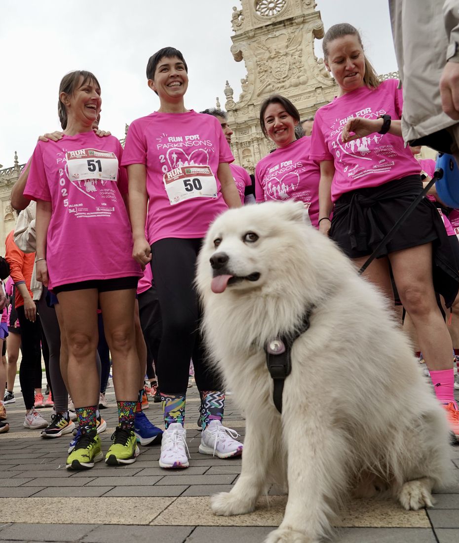 León acoge la quinta edición de la carrera solidaria con motivo del Día Mundial de la Enfermedad de Parkinson (2) León acoge la quinta edición de la carrera solidaria con motivo del Día Mundial de la Enfermedad de Parkinson (2)