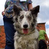 Cerezales del Condado (León) celebra este fin de semana su octava Feria Carea | Peio García / ICAL