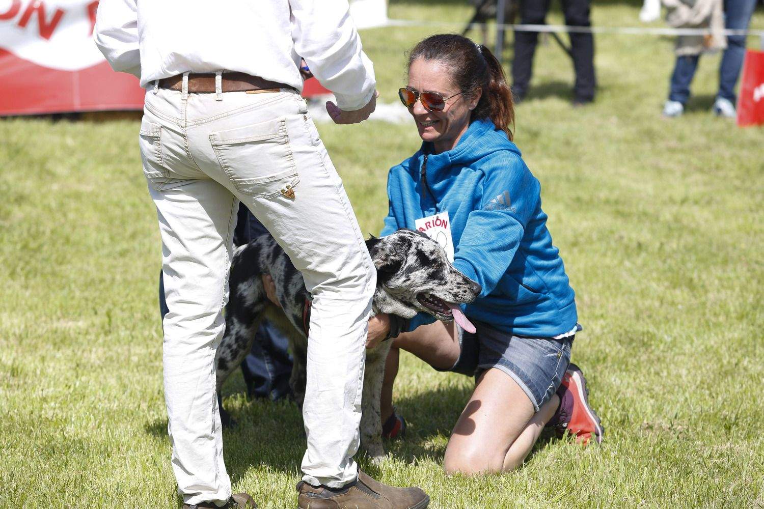 Feria Carea de Cerezales del Condado | Campillo / ICAL