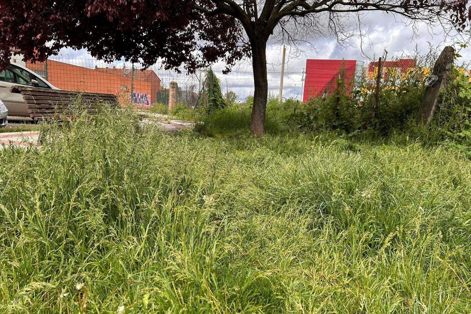 Estado de una de las zonas verdes del municipio de San Andrés del Rabanedo | Redes Sociales