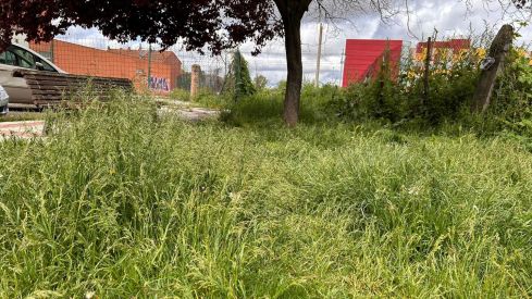 Estado de una de las zonas verdes del municipio de San Andrés del Rabanedo | Redes Sociales