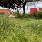 Estado de una de las zonas verdes del municipio de San Andrés del Rabanedo | Redes Sociales