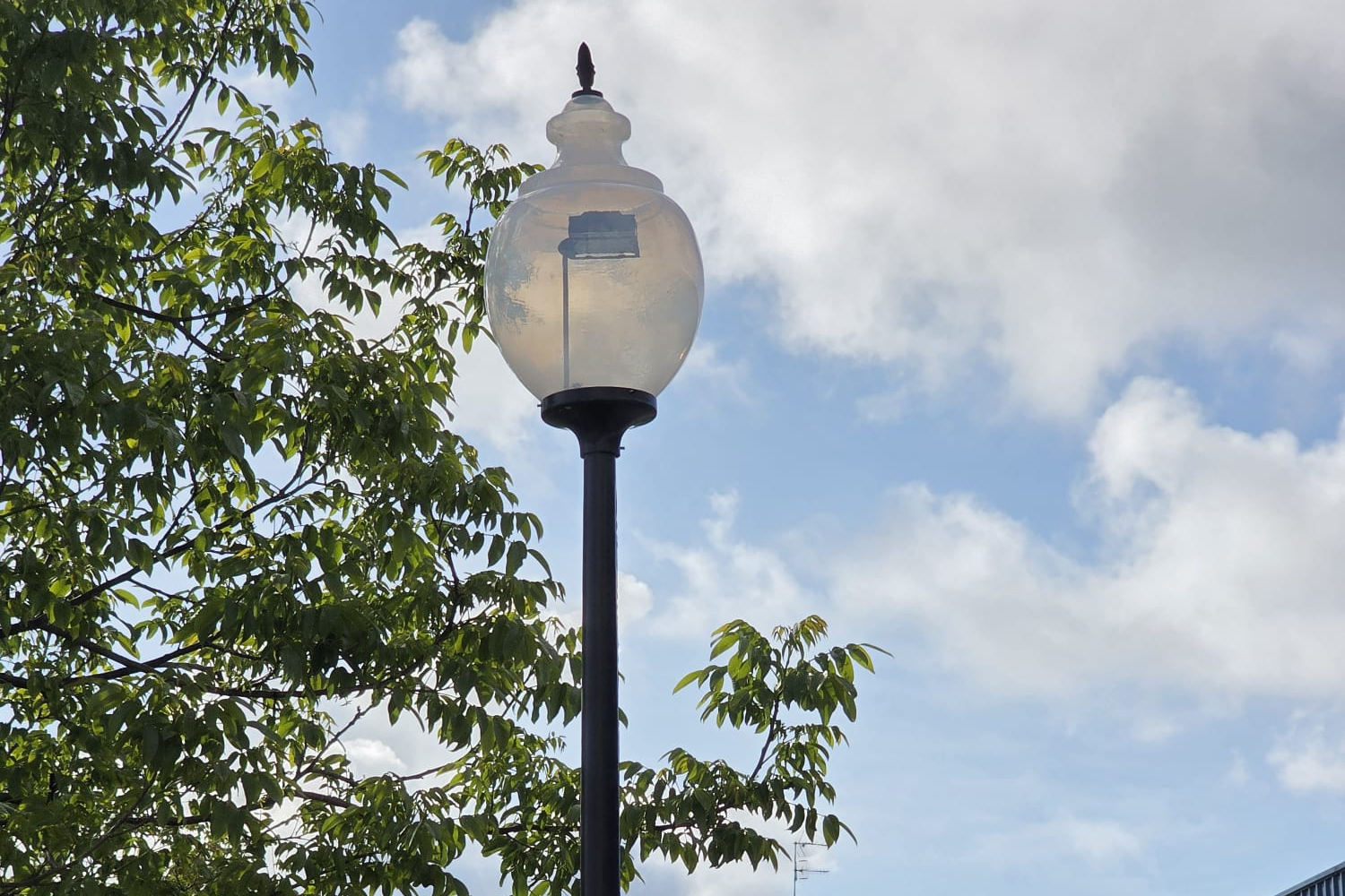La Bañeza renueva el alumbrado de la calle Antonio Bordas con luminarias LED 