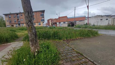 Los vecinos de San Andrés del Rabanedo denuncian la "falta de limpieza y abandono" en las aceras del municipio | Redes Sociales