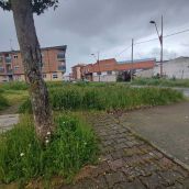 Los vecinos de San Andrés del Rabanedo denuncian la "falta de limpieza y abandono" en las aceras del municipio | Redes Sociales