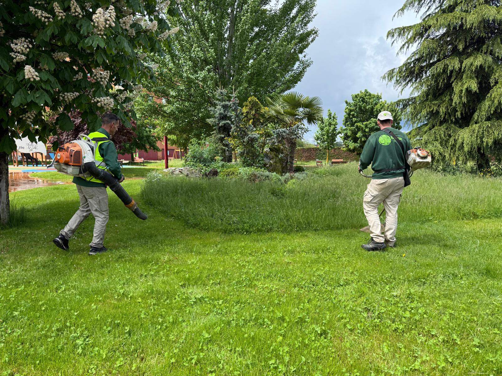 Trabajo de desbroce este lunes Trabajo de desbroce este lunes