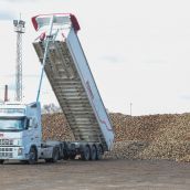 ColproLeón cifra en 40 millones de euros las pérdidas anuales para la comarca de La Bañeza por el cierre de Azucarera