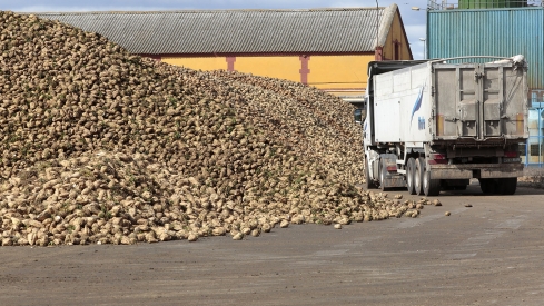 UGT Fica León acusa a la Junta de “echar balones fuera” ante el cierre de la Azucarera en La Bañeza 