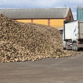 UGT Fica León acusa a la Junta de “echar balones fuera” ante el cierre de la Azucarera en La Bañeza 