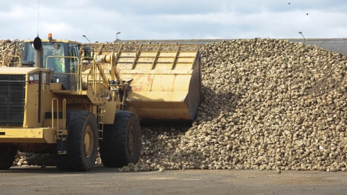 Instalaciones de la Azucarera de La Bañeza (León) | Campillo / ICAL