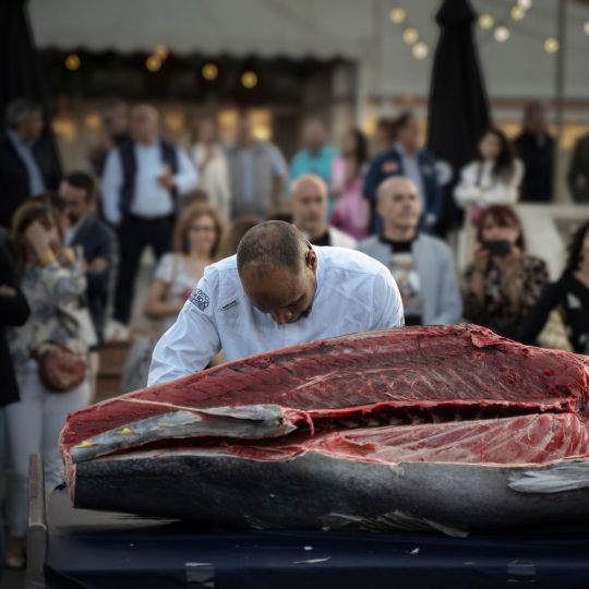 Gastronomía, tradición y espectáculo se unen el ARVA Santiago de Villaquilambre con la IV Jornada del Ronqueo del Atún Rojo| Brissa Events Gastronomía, tradición y espectáculo se unen el ARVA Santiago de Villaquilambre con la IV Jornada del Ronqueo del Atún Rojo| Brissa Events