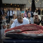 Gastronomía, tradición y espectáculo se unen el ARVA Santiago de Villaquilambre con la IV Jornada del Ronqueo del Atún Rojo| Brissa Events