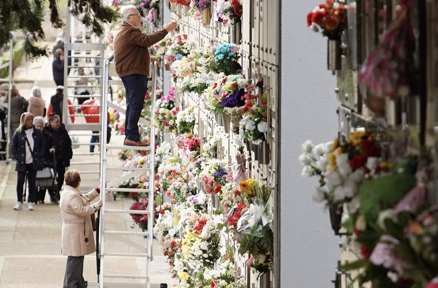 Campillo ICAL. Celebración del Día de Todos Los Santos en el Cementerio Municipal de León