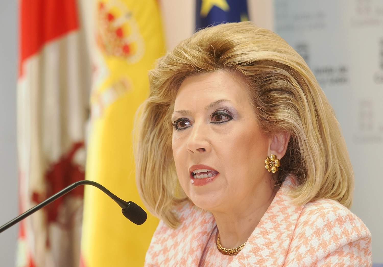 R. Valtero / ICAL . La gerente regional de Salud, Violeta Martínez Pindado