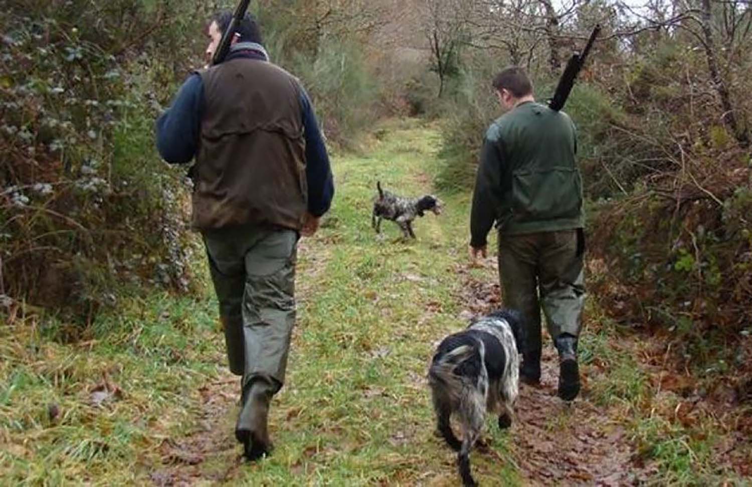 La Junta aprueba 587 permisos de caza para la temporada 2026-27 en la provincia de León