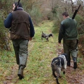 La Junta aprueba 587 permisos de caza para la temporada 2026-27 en la provincia de León