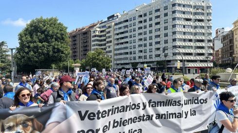 ICAL . Manifestación contra la normativa que regula el uso de los medicamentos veterinarios 