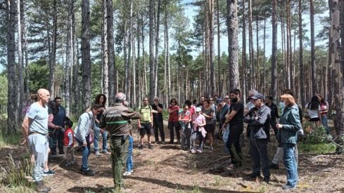 El Monte de Riocamba (Cea, León) celebra el Día de los Montes con actividades divulgativas sobre ecosistemas forestales