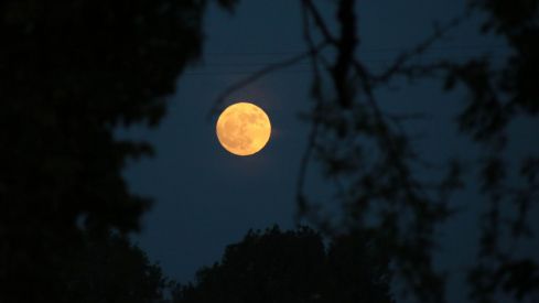 La Luna de Fresa deslumbra en La Cepeda (León): La más baja en casi 20 años | Peio García / ICAL