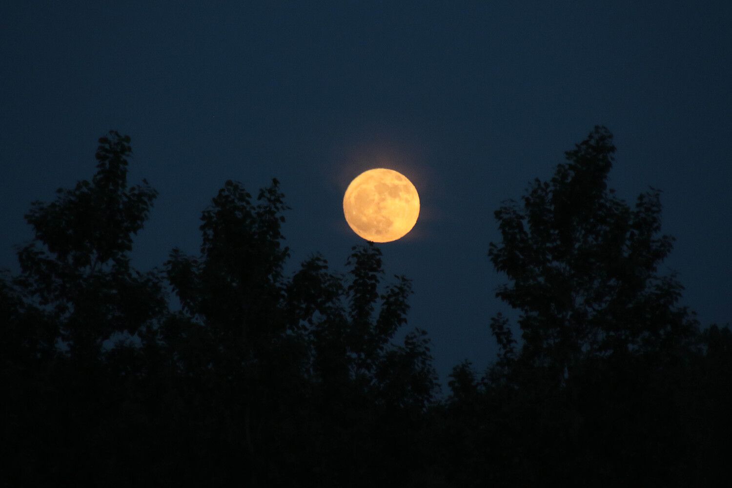  La precesión nodal de la Luna hace que esta noche se alce a menor altura de lo habitual, un ciclo que no volverá hasta dentro de 19 años | Peio García / ICAL