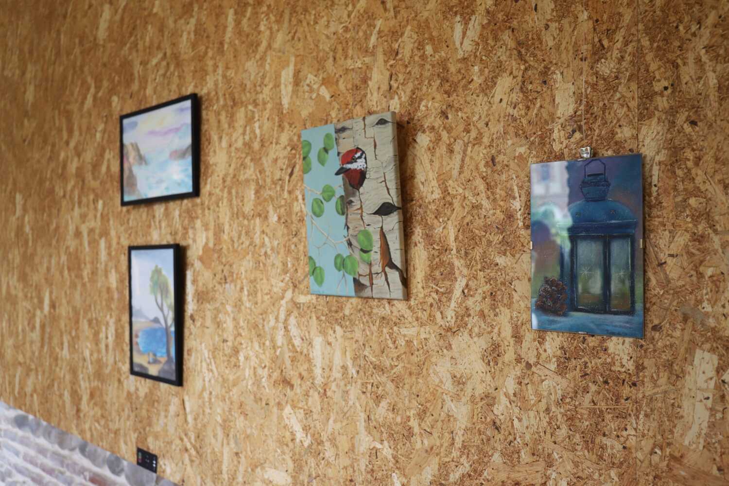 Exposición 'Exponiéndonos' de Acles en el claustro de los Capuchinos