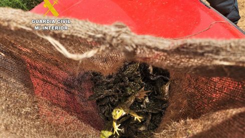 Investigan a un hombre que pescó 200 ranas en Bustillo del Páramo (León) sin autorización