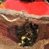 Investigan a un hombre que pescó 200 ranas en Bustillo del Páramo (León) sin autorización Investigan a un hombre que pescó 200 ranas en Bustillo del Páramo (León) sin autorización