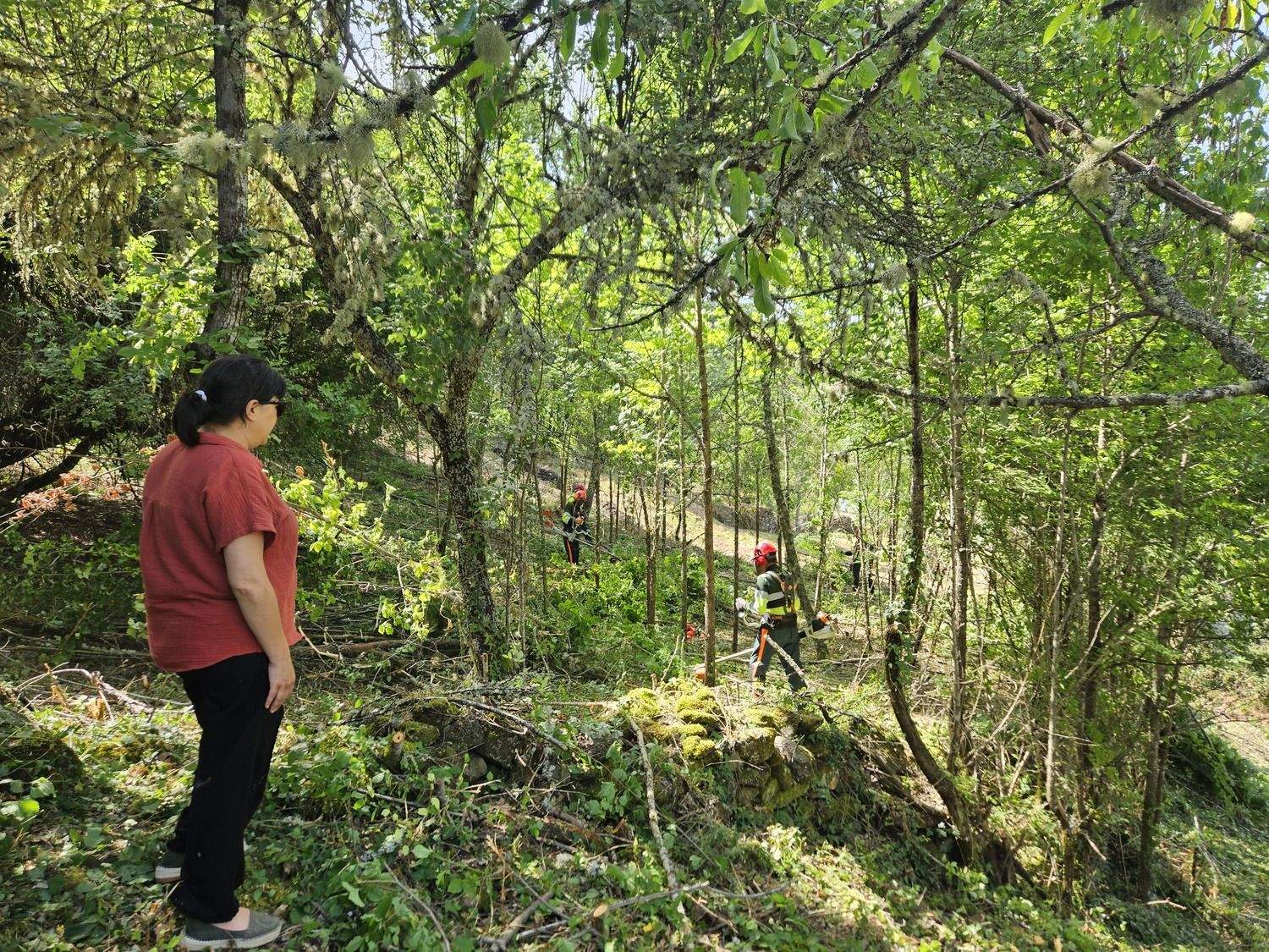 Prevención de incendios 2 Prevención de incendios 2