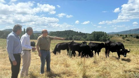 El Centro de Selección y Reproducción Animal de León (Censyra) produjo más de 90.000 dosis seminales en 2024