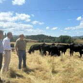 El Centro de Selección y Reproducción Animal de León (Censyra) produjo más de 90.000 dosis seminales en 2024