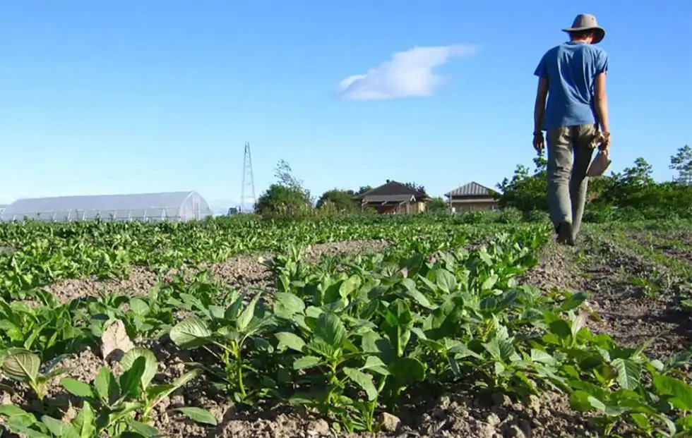 agricultura