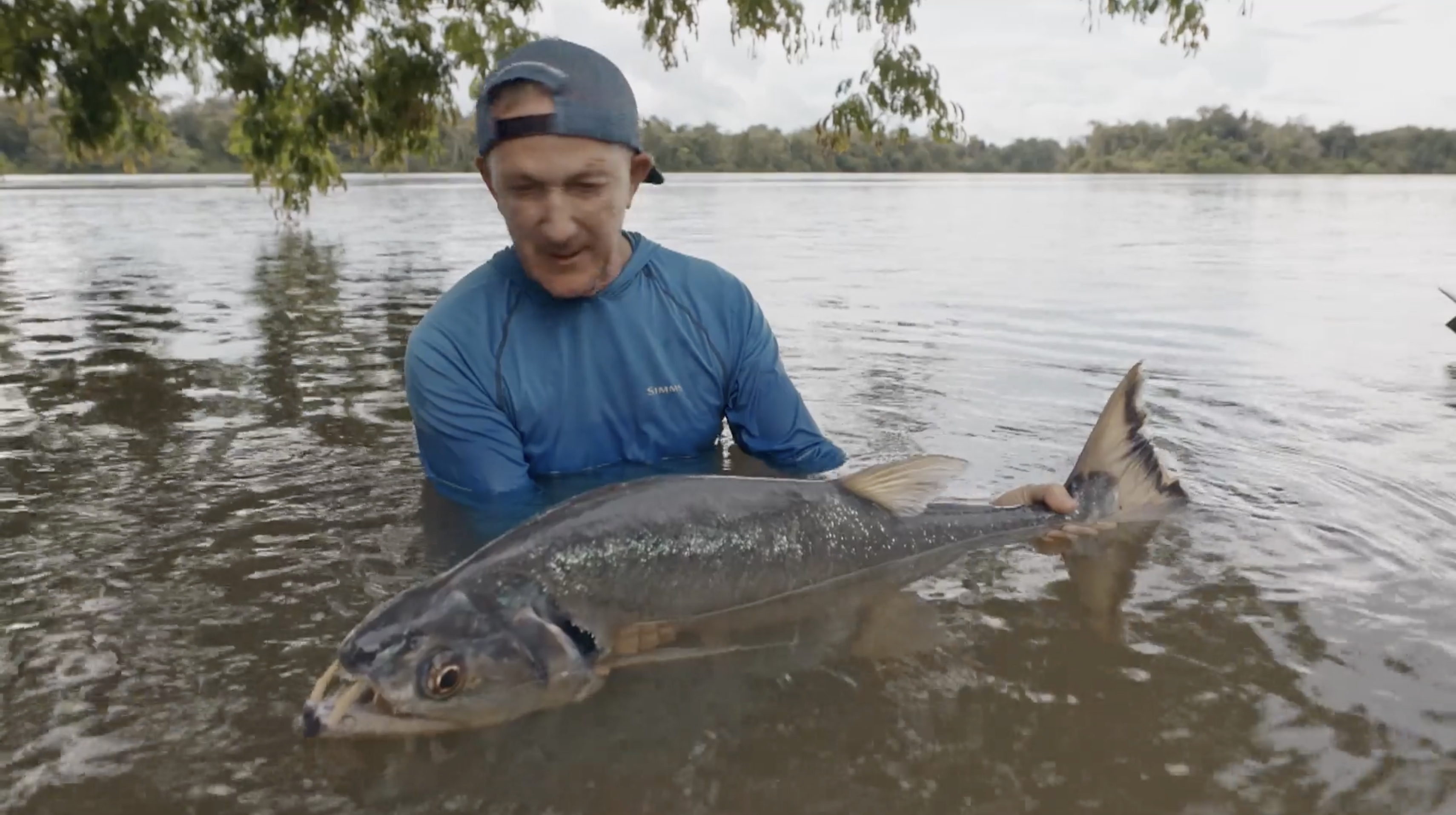 Captura de pantalla 2025 07 01 a las 19.42.23