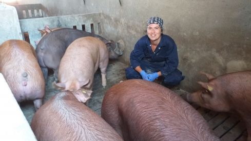 La Agencia Europea de Medicamentos avala la primera vacuna del mundo frente a la disentería porcina desarrollada por Aquilón