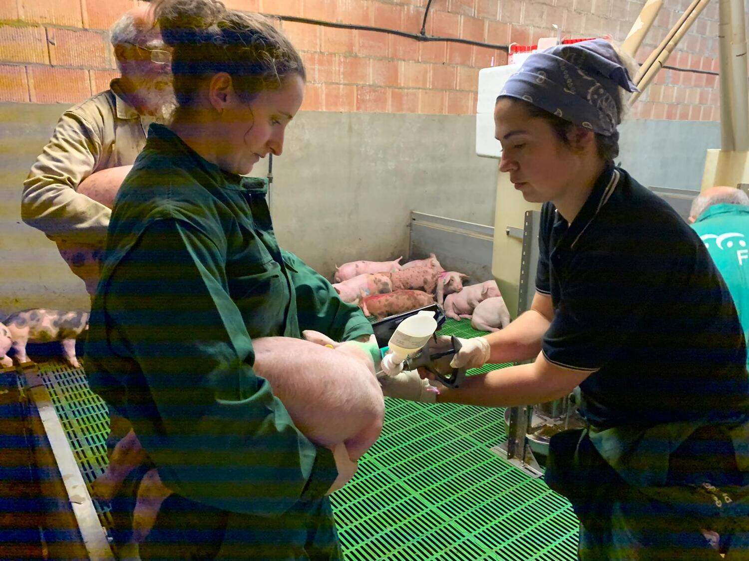 Investigación vacunaBiobhyo (2)