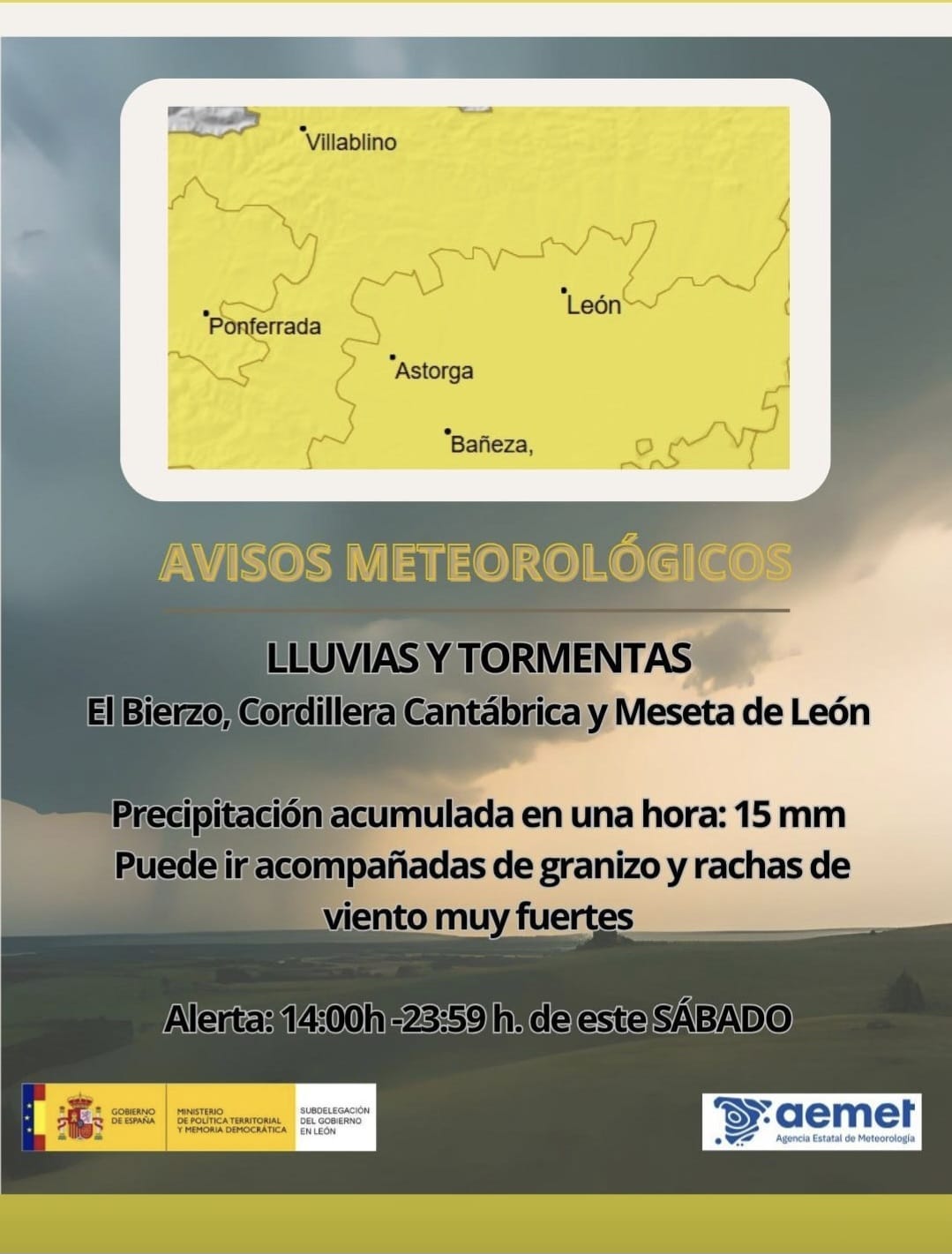 WhatsApp Image 2025 07 05 at 17.29.38