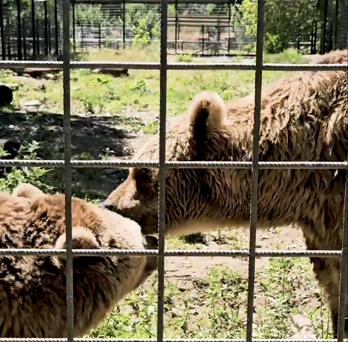 Captura de pantalla 2025 07 15 a las 12.34.17