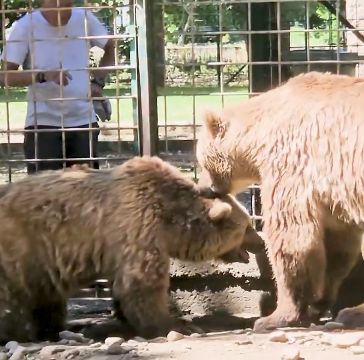 Captura de pantalla 2025 07 15 a las 12.34.27