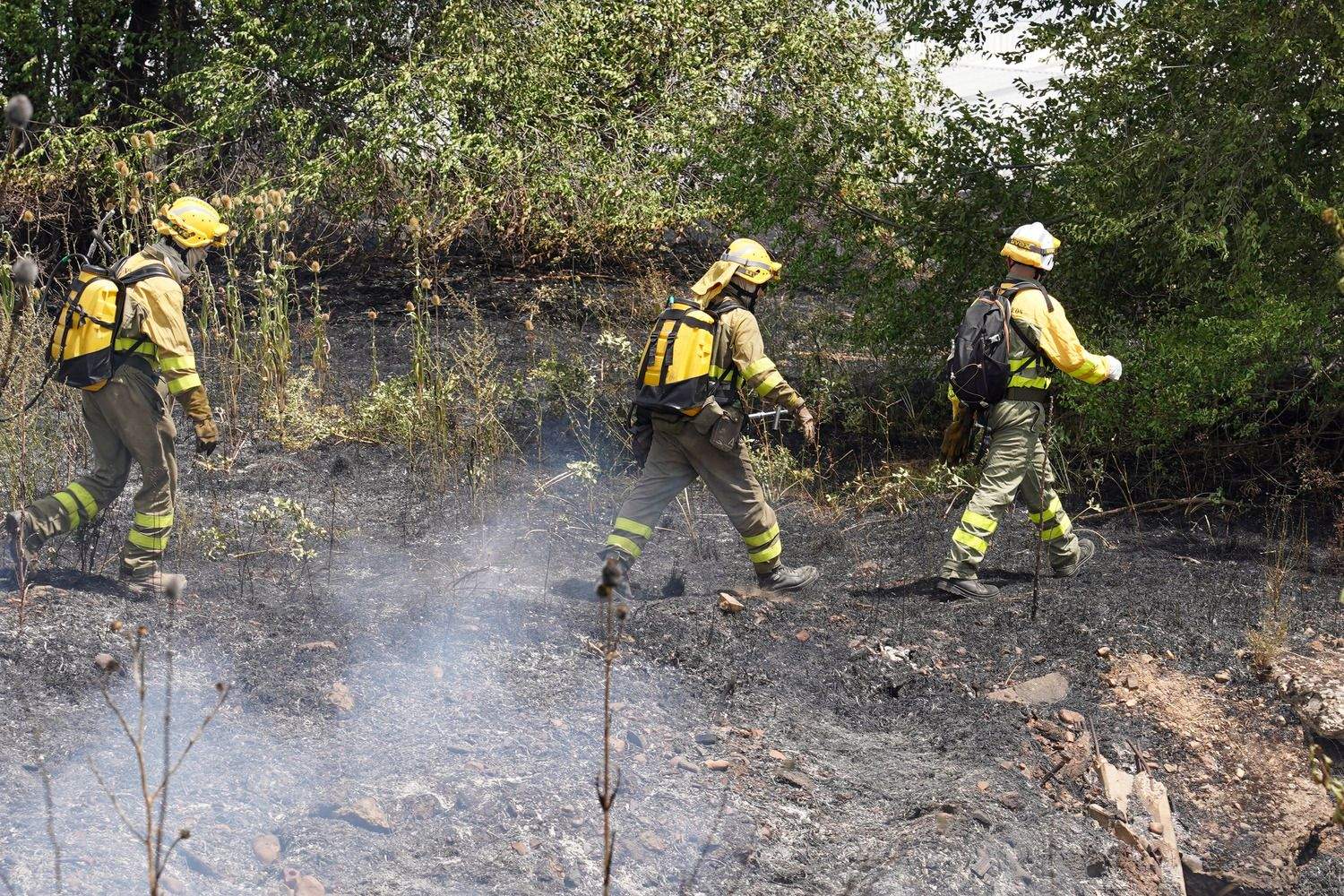 Intervención en el incendio en las proximidades del Hospital de León | Campillo / ICAL Intervención en el incendio en las proximidades del Hospital de León | Campillo / ICAL