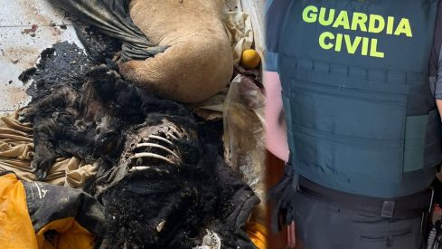 Investigan a un hombre que guardaba dos cadáveres de perro en su piso de Navatejera