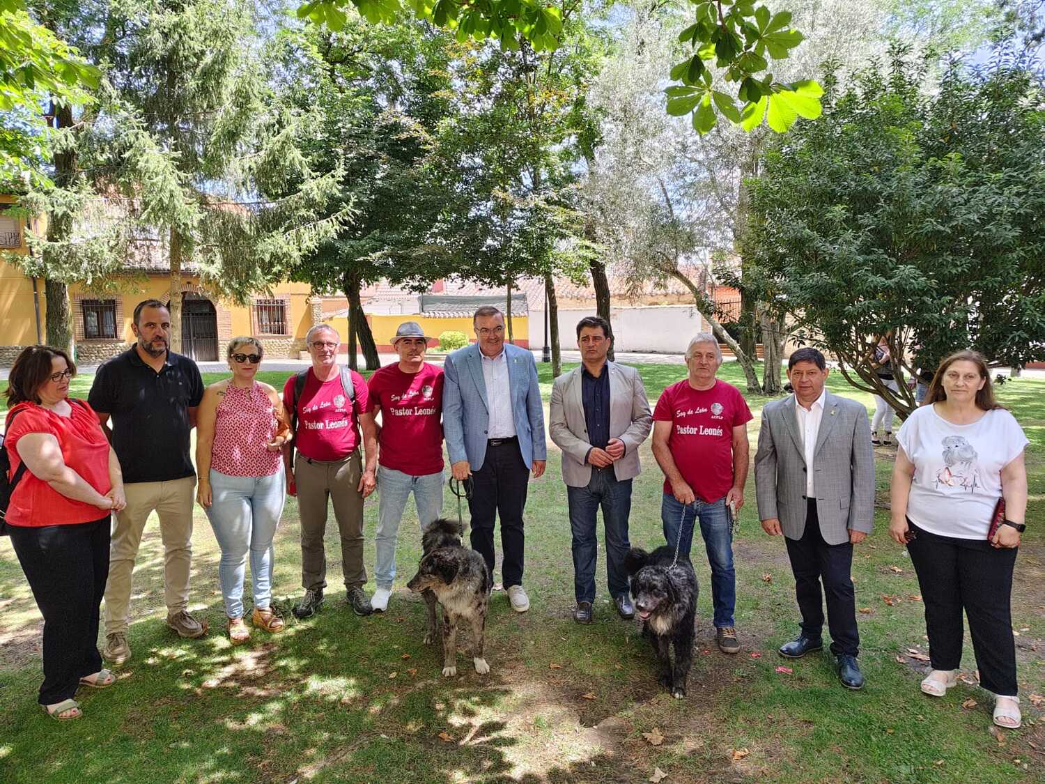 WhatsApp Image 2025 07 19 at 15.11.59 (2) WhatsApp Image 2025 07 19 at 15.11.59 (2)