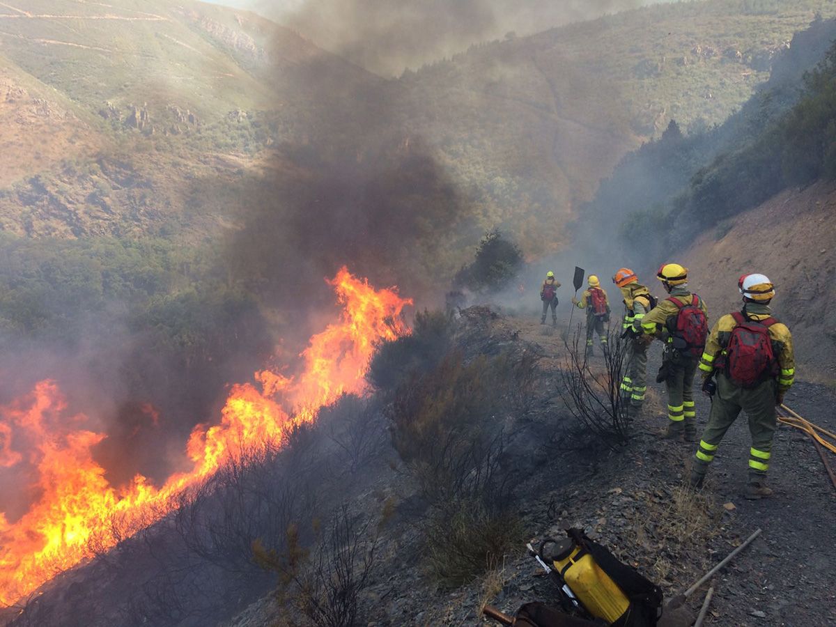 Conceyu exige a la Junta un contingente especializado y profesional de bomberos forestales para el País Leonés | Archivo Infobierzo