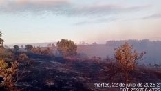 El incendio de Ferreras baja a Nivel 1 tras eliminarse el riesgo para la población de Riofrío (León) El incendio de Ferreras baja a Nivel 1 tras eliminarse el riesgo para la población de Riofrío (León)